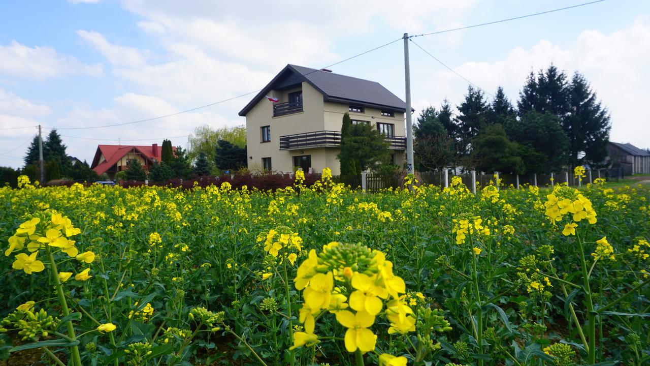 Swierkowy